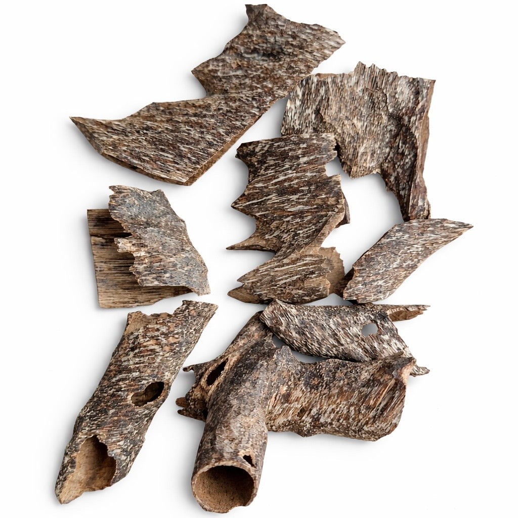 Trat Queen  🇹🇭