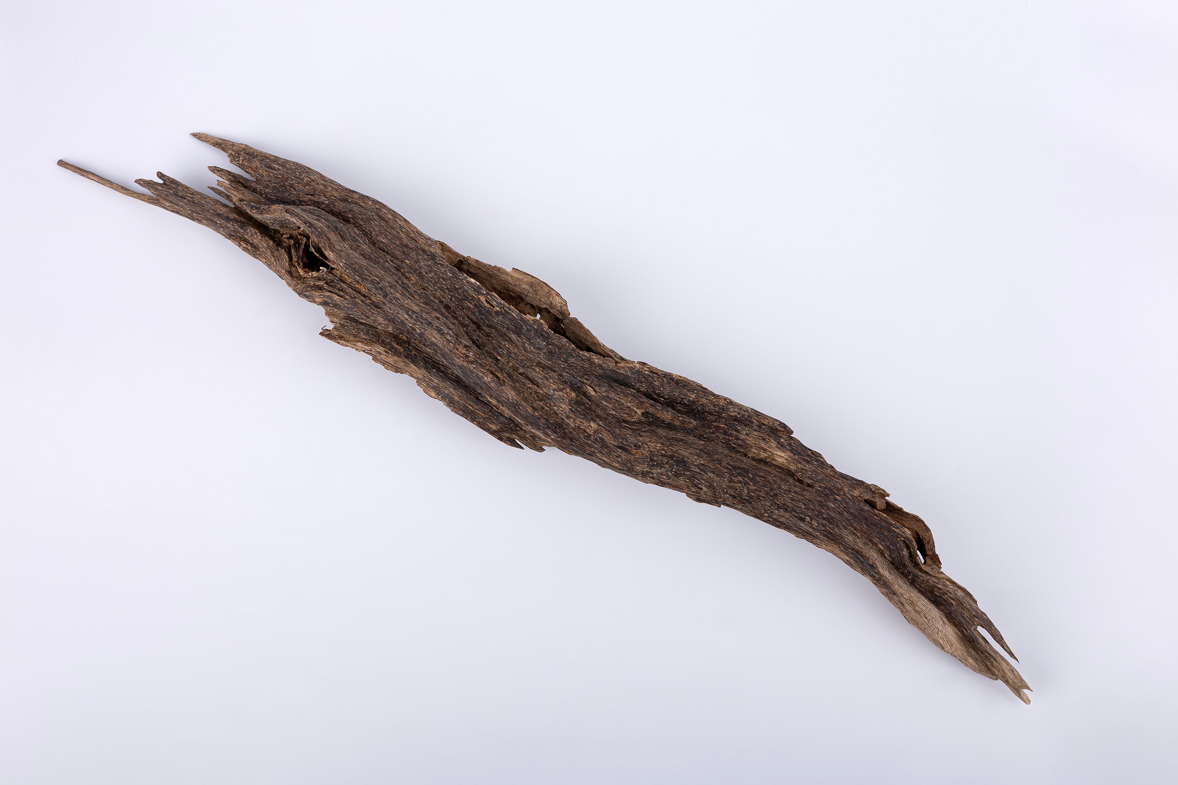 The Imperial Root